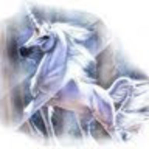 Meet your Posher, Sheryl